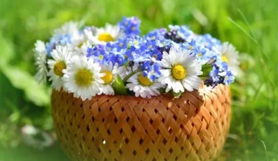 ISKRENE ČESTITKE OB MEDNARODNEM DNEVU ŽENA!