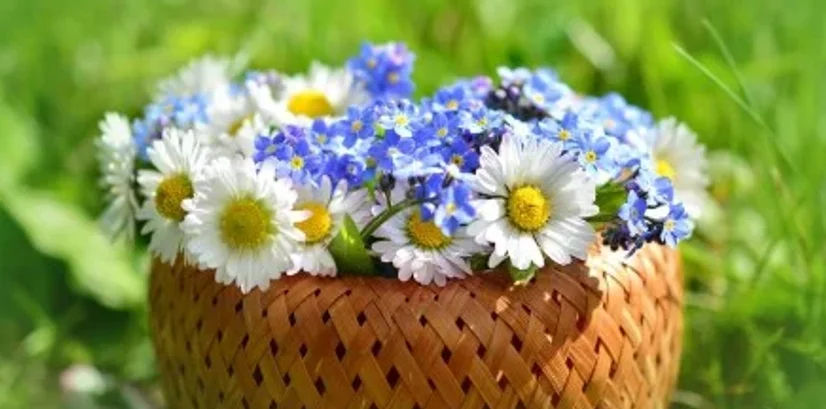 ISKRENE ČESTITKE OB MEDNARODNEM DNEVU ŽENA!