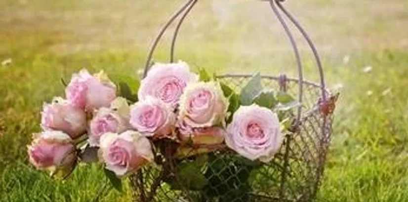 Iskrene čestitke ob mednarodnem dnevu žena